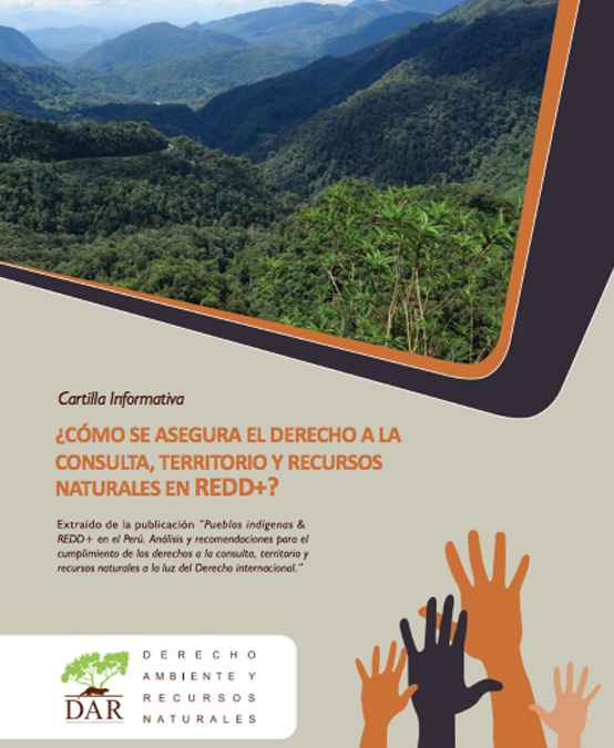 Derecho Consulta Redd Derecho Ambiente Y Recursos Naturales