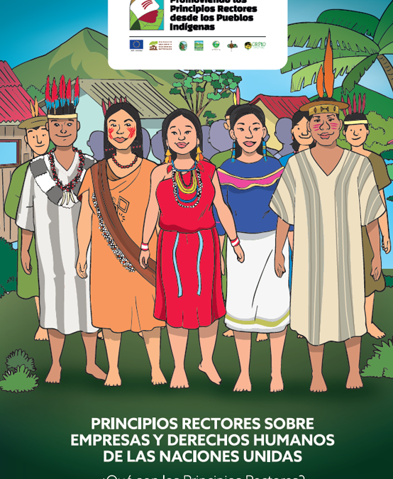 Cartilla Principios Rectores Sobre Empresas Y Derechos Humanos