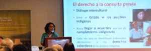 Se necesita una evaluación integral del cumplimiento de derechos indígenas a nivel de Latinoamérica