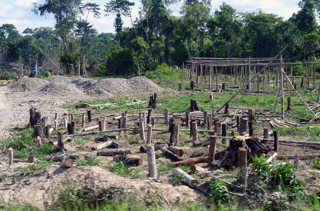 Complex agricultural normative undermines forests’ protection