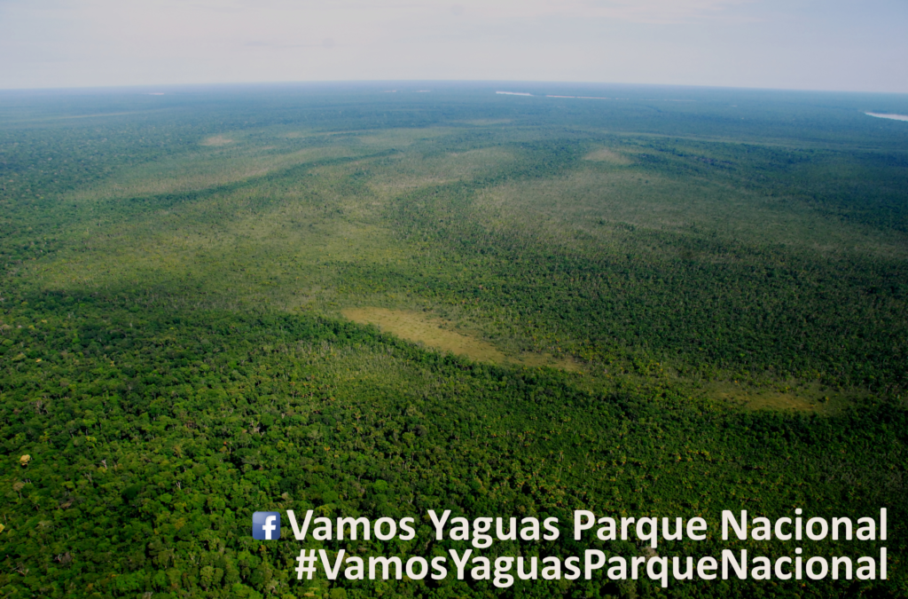 Conoce más sobre Yaguas, un bosque único de la Amazonía Peruana