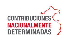 En el Día Mundial por la reducción de emisiones: DAR presenta proyectos que servirán para apoyar a la implementación de las NDC de Perú