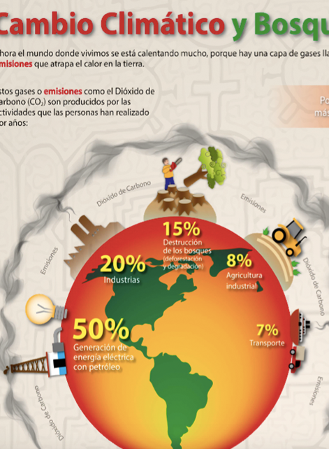 Infografía_cambio_climatico_bosques