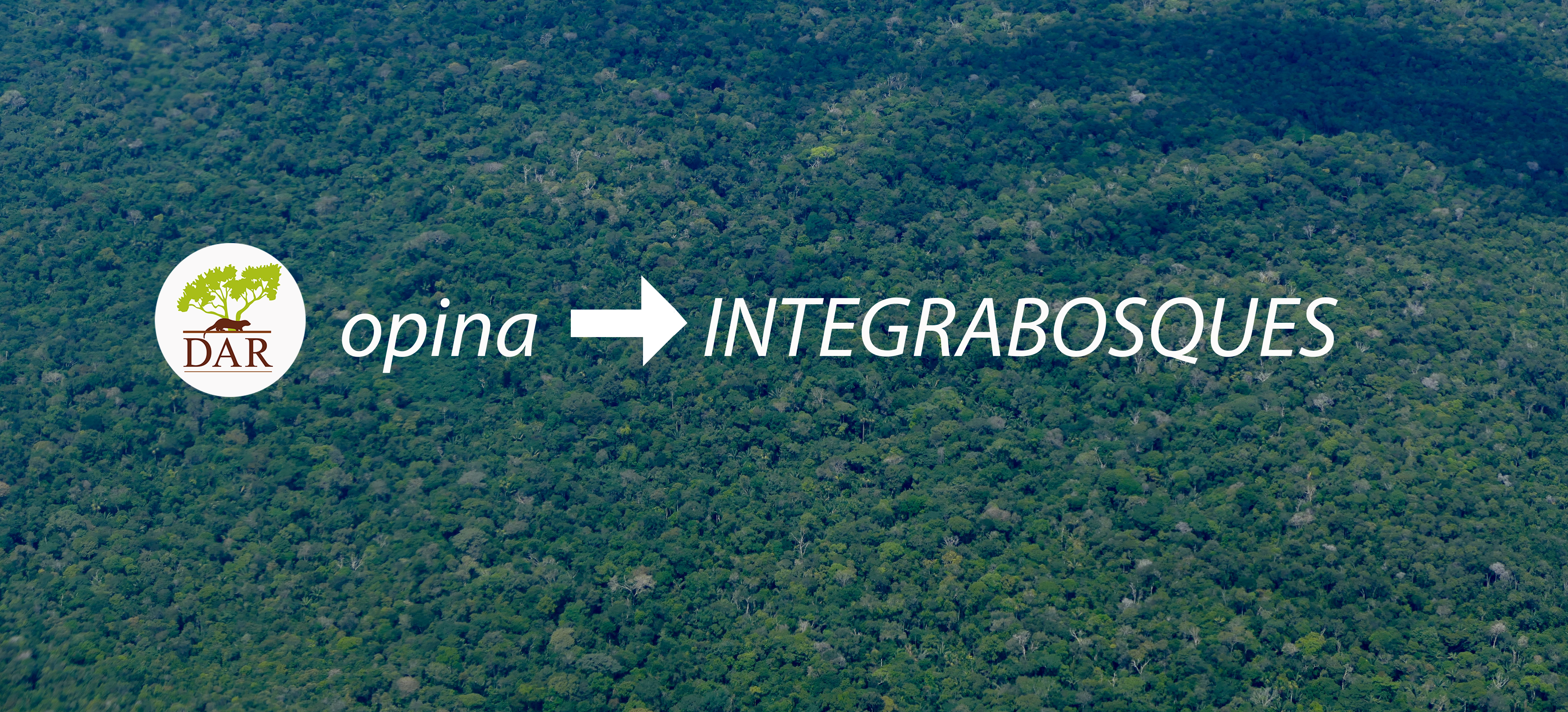 #DARopina IntegraBosques: destrabando iniciativas de uso sostenible de los bosques