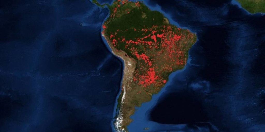 Entrevista a Rocio Vásquez, especialista del programa Cambio Climático y Bosques, sobre los incendios forestales en el Amazonas