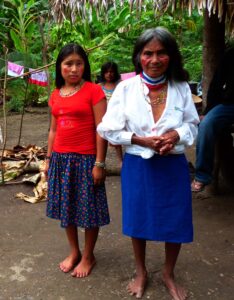 Brechas de género y la necesidad de priorizar a la mujer indígena en tiempos de pandemia