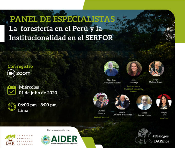 Diálogo sobre el sector forestal y la Institucionalidad en el SERFOR