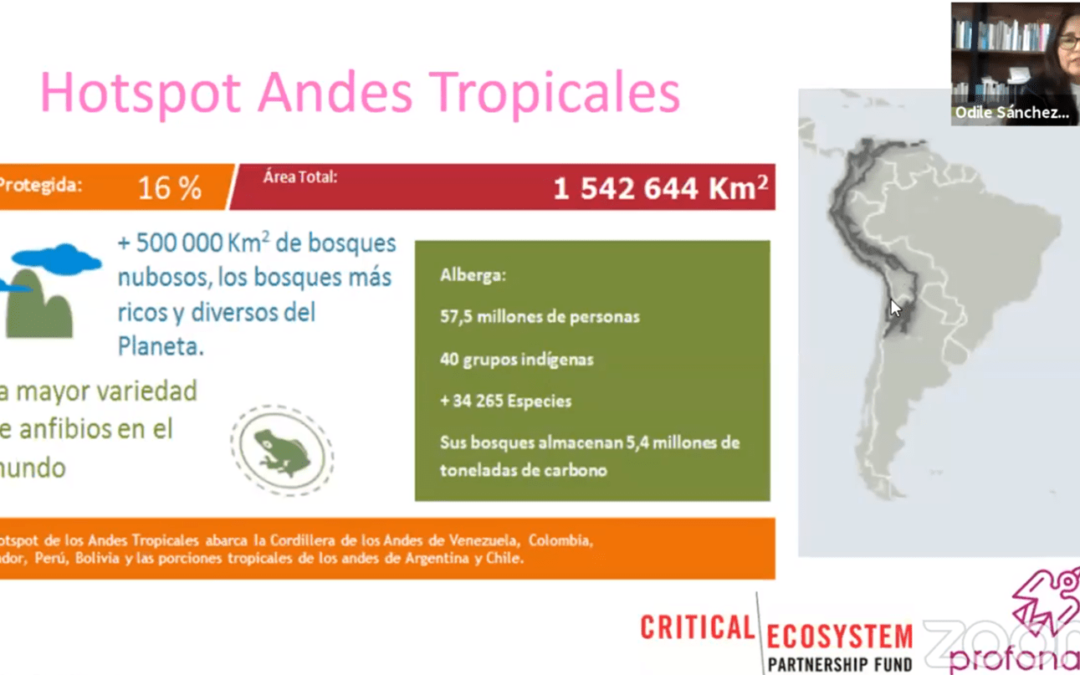 Biodiversidad y experiencias de conservación en el Hotspot Andes Tropicales