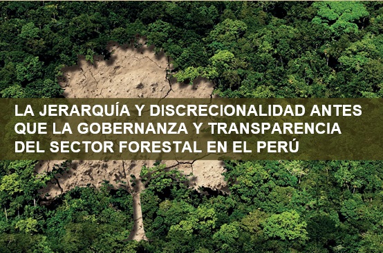 La jerarquía y discrecionalidad antes que la gobernanza y transparencia del sector forestal en el Perú.