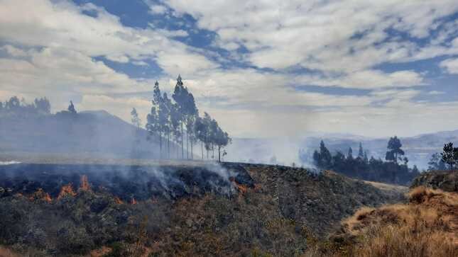 Más de 100 especialistas de 20 regiones del país fueron capacitados sobre incendios forestales