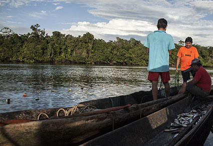 Una nueva consulta previa: A 5 años de consulta previa de la Hidrovía Amazónica