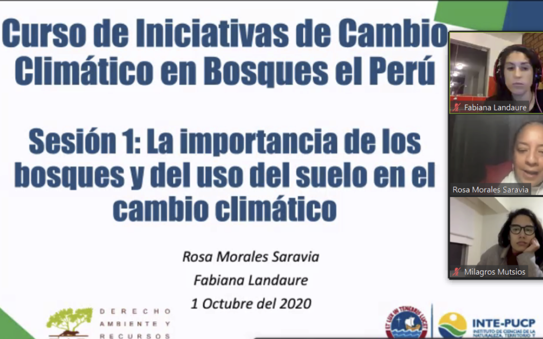 DAR e INTEPUCP inician curso orientado a conocer las iniciativas del cambio climático y sus salvaguardas en los bosques  del Perú