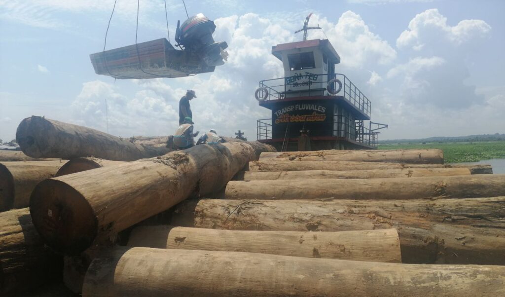 Trazabilidad de la madera: mecanismos para un desarrollo sostenible