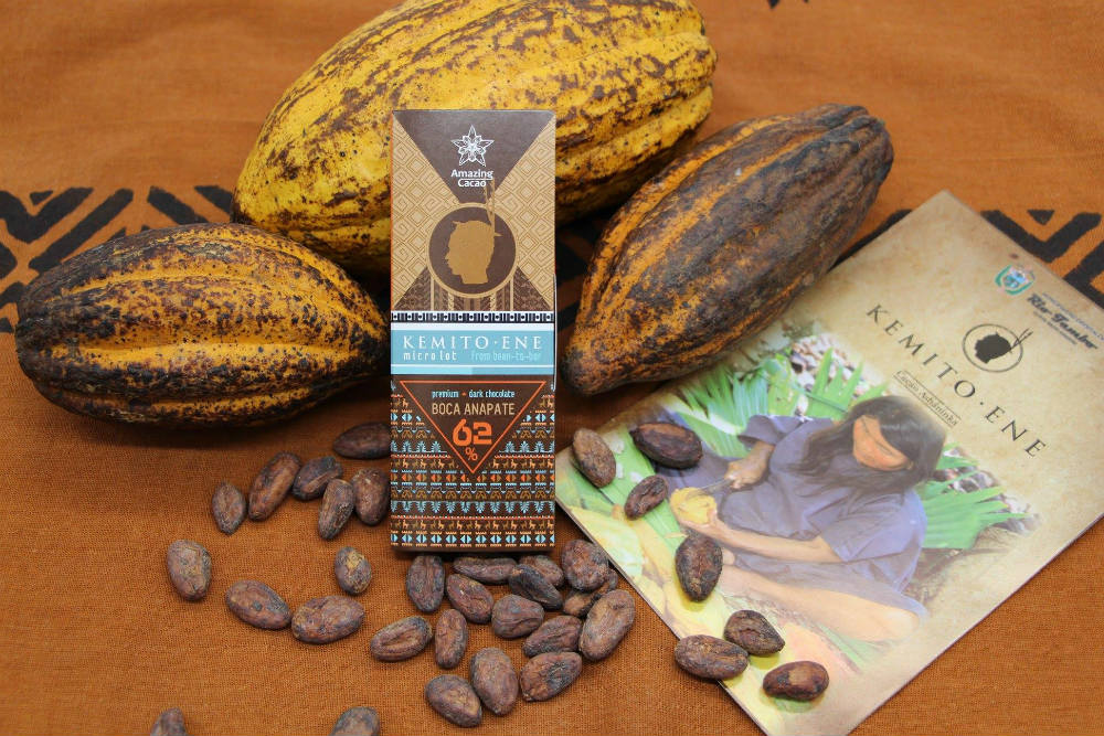 CACAO KEMITO – El grano ancestral de los bosques que complace al mundo con chocolate