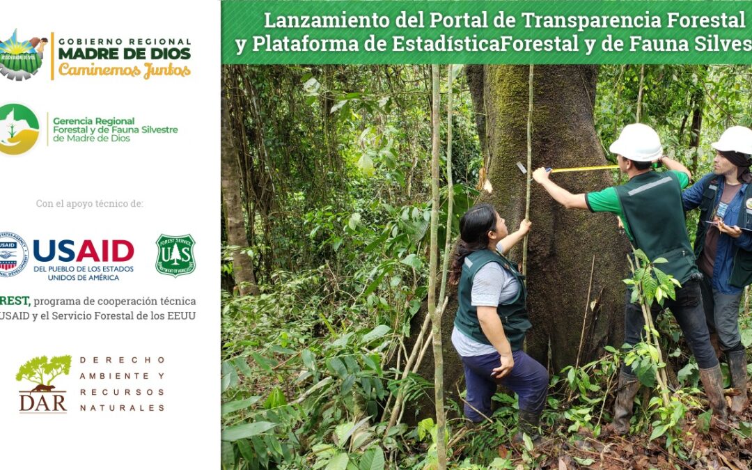 GERFOR de Madre de Dios implementa Portal de Transparencia Forestal y de Fauna Silvestre