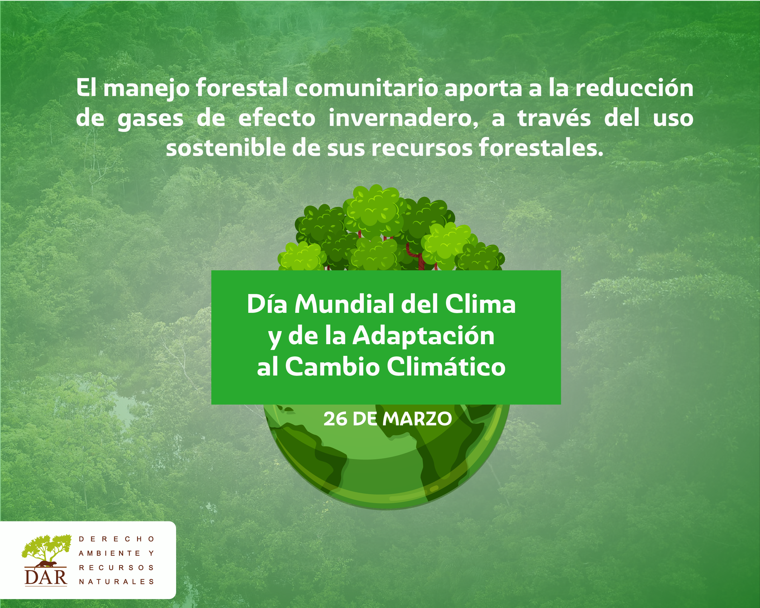 Manejo forestal comunitario: una forma de contribuir a los compromisos climáticos del país