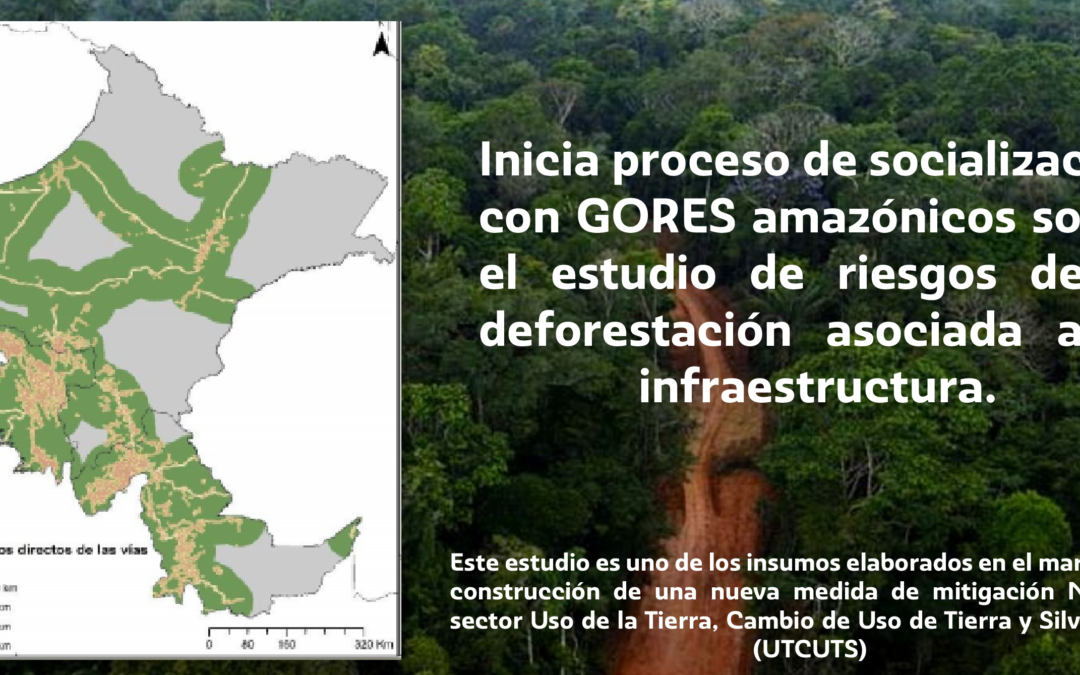 Inicia proceso de socialización con GORES amazónicos sobre el estudio de riesgos de la deforestación asociada a la infraestructura.