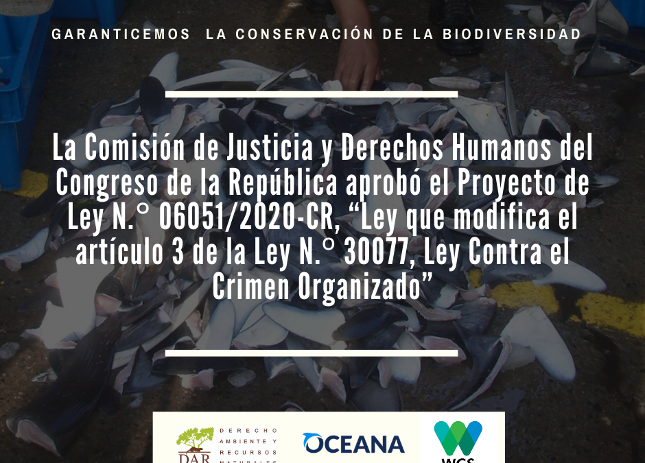 Comisión de Justicia del Congreso aprueba incluir los delitos contra la flora y fauna en la Ley contra el Crimen Organizado