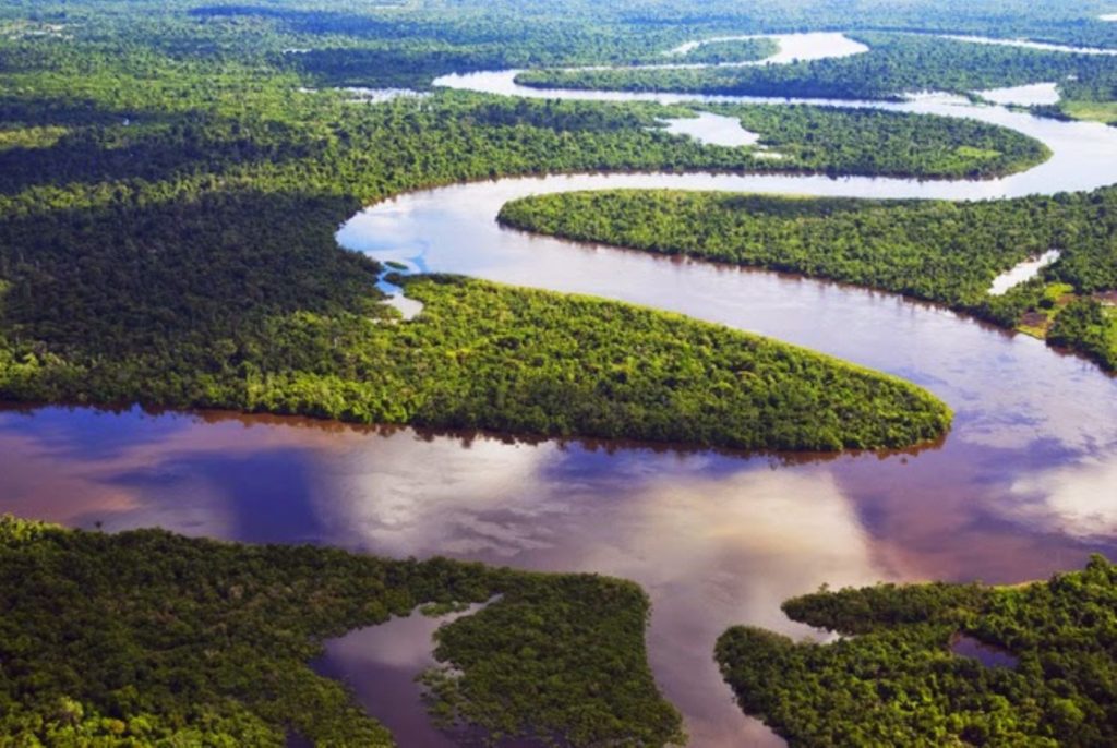 Un Fondo Para La Amazonía Sin La Visión De Los Pueblos Amazónicos