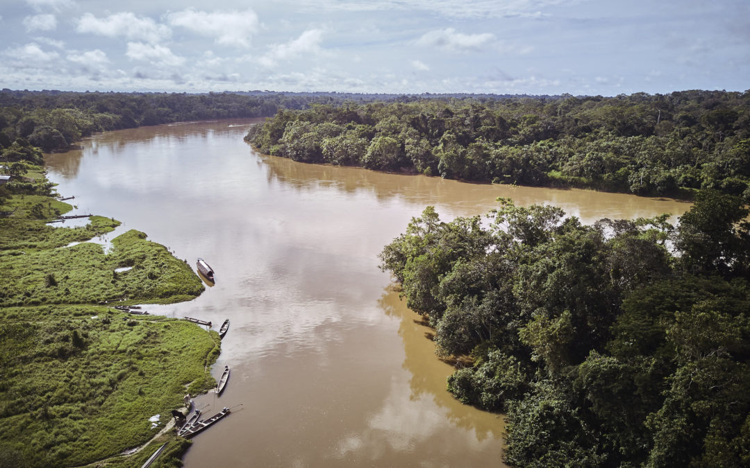 Cuenta de Bosques en Perú: bosques amazónicos aportan 1.04 % al PBI de la economía nacional