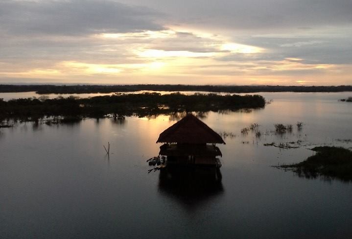 Financia con derechos : Crece el interés por la inversión en bioeconomía en la Amazonía