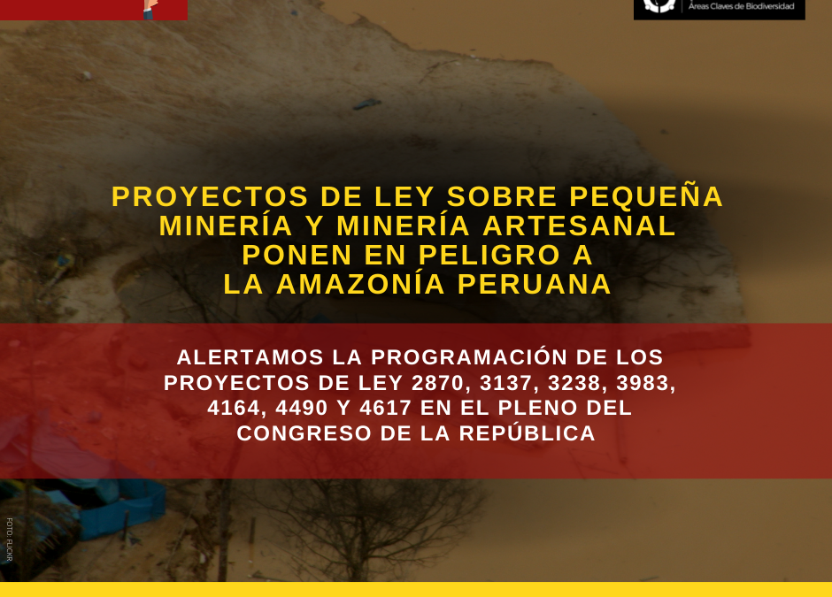PROYECTOS DE LEY SOBRE PEQUEÑA MINERÍA Y MINERÍA ARTESANAL PONEN EN PELIGRO A LA AMAZONÍA PERUANA