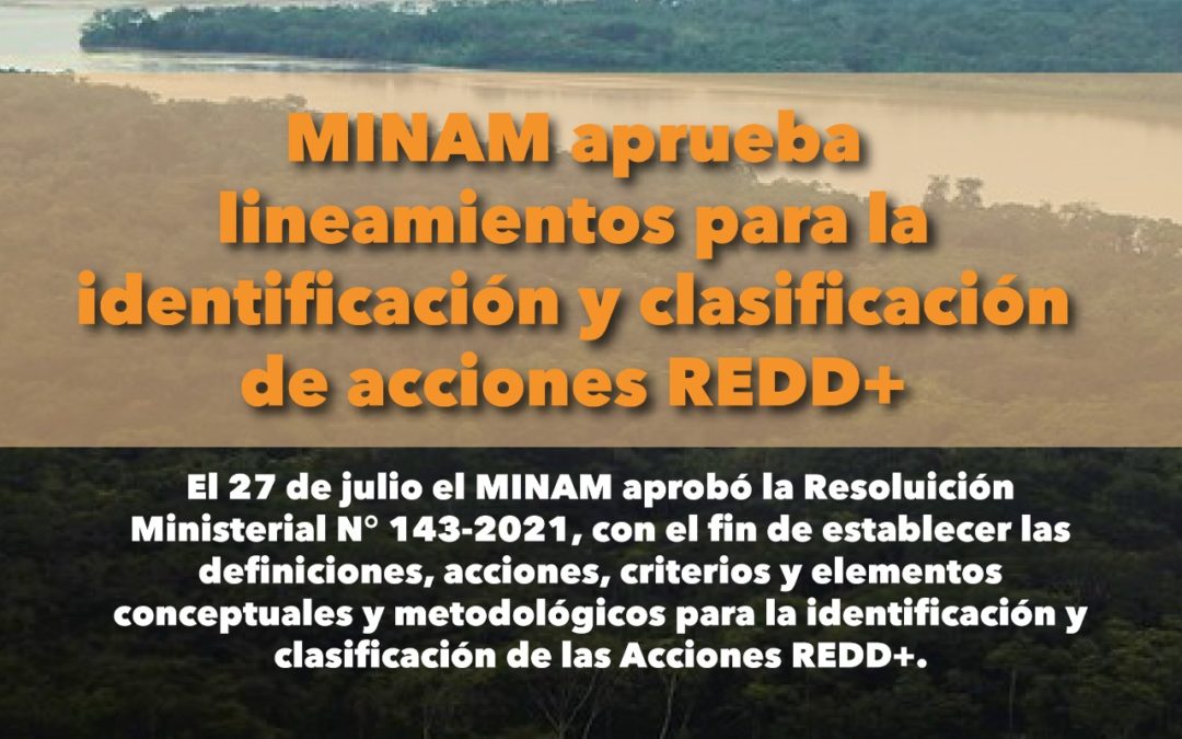 MINAM aprueba lineamientos para la identificación y clasificación de acciones REDD+