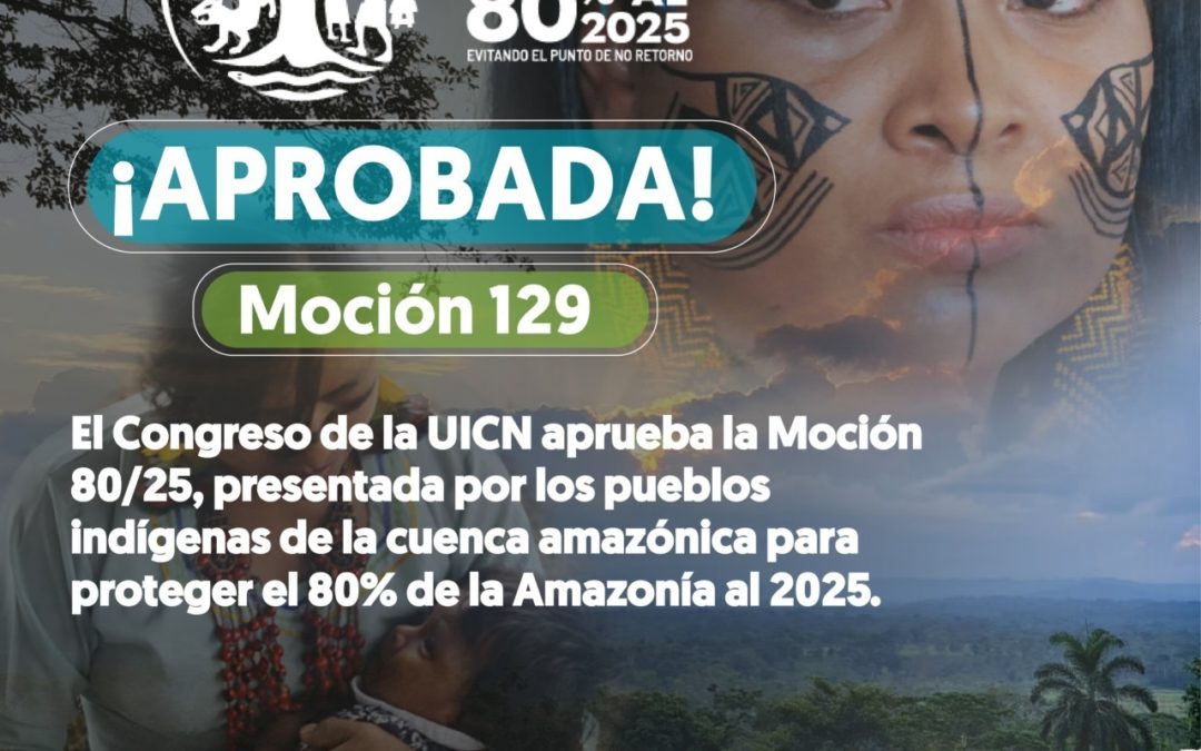 CONGRESO DE LA UICN APRUEBA MOCIÓN DE LA COICA PARA PROTEGER EL 80 % DE LA AMAZONÍA AL 2025