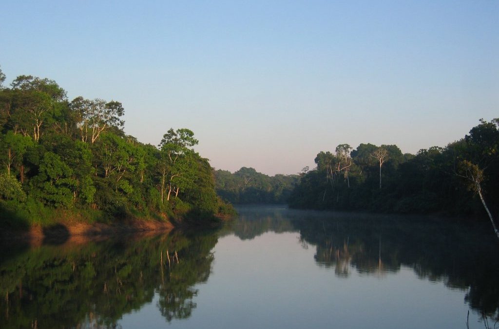 Responsabilidades del BID y la bioeconomía en la Amazonía