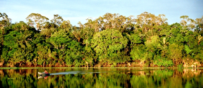 Bioeconomía en la Amazonía por el BID: mejoras para su implementación