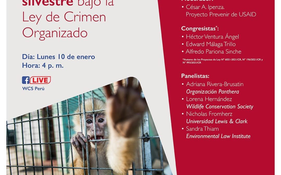 Perú tiene la oportunidad de liderar lucha contra el tráfico ilegal de vida silvestre en Sudamérica