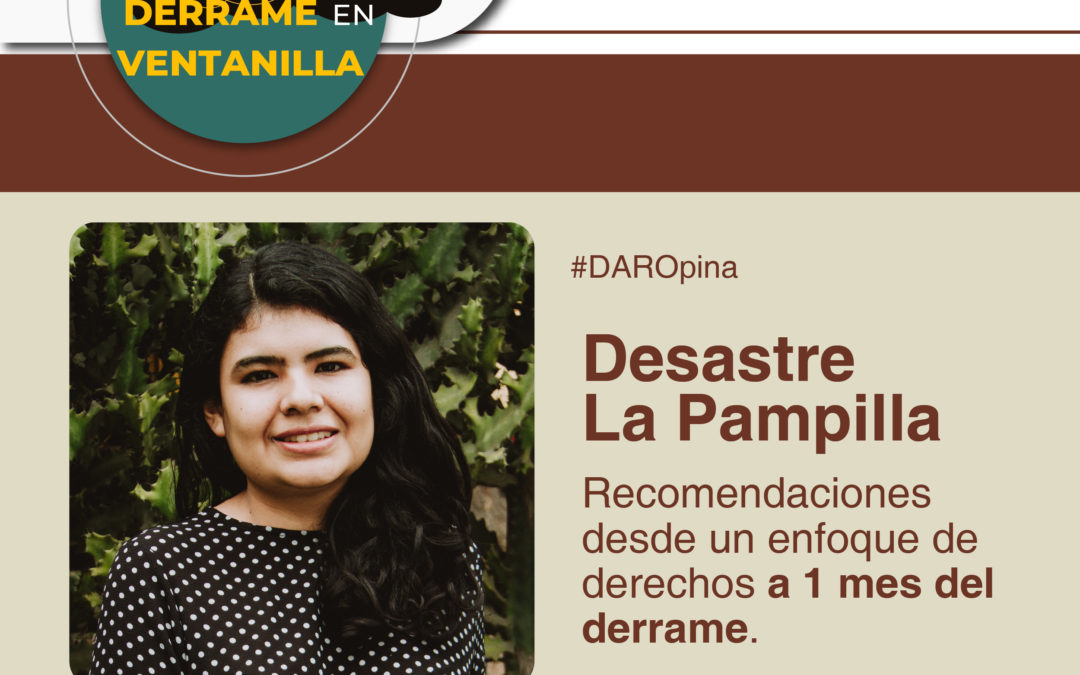 Desastre La Pampilla: Recomendaciones desde un enfoque de derechos a 1 mes del derrame