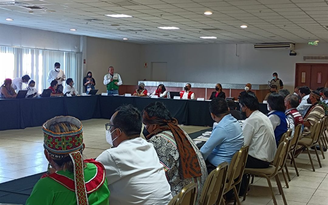 Ante el incremento de ataques a defensores en Ucayali: MINJUSDH lideró segunda sesión de la Mesa Regional de Personas Defensoras en la ciudad de Pucallpa