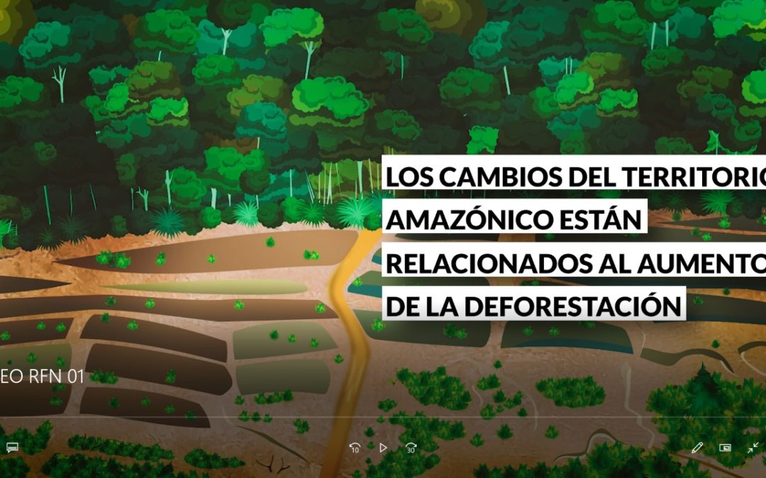 Crisis en la Amazonía: oportunidades para articular soluciones con los pueblos indígenas y comunidades locales