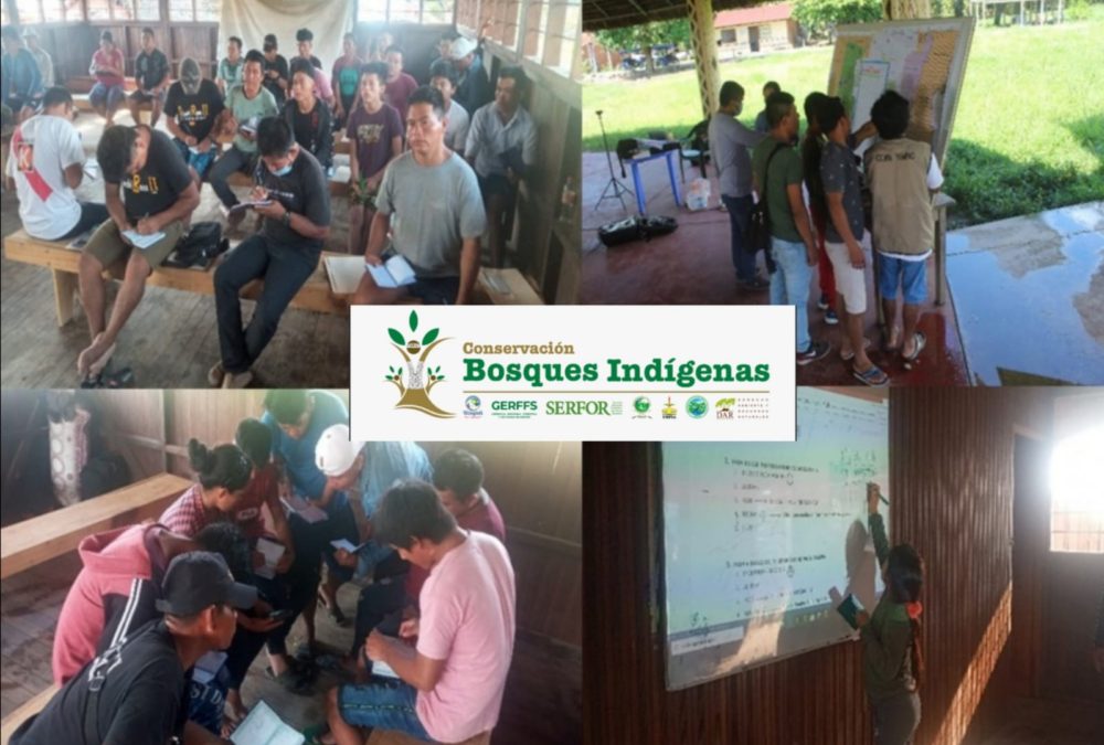 Organizaciones indígenas de Ucayali impulsan el reconocimiento de 280 veedores forestales como custodios forestales