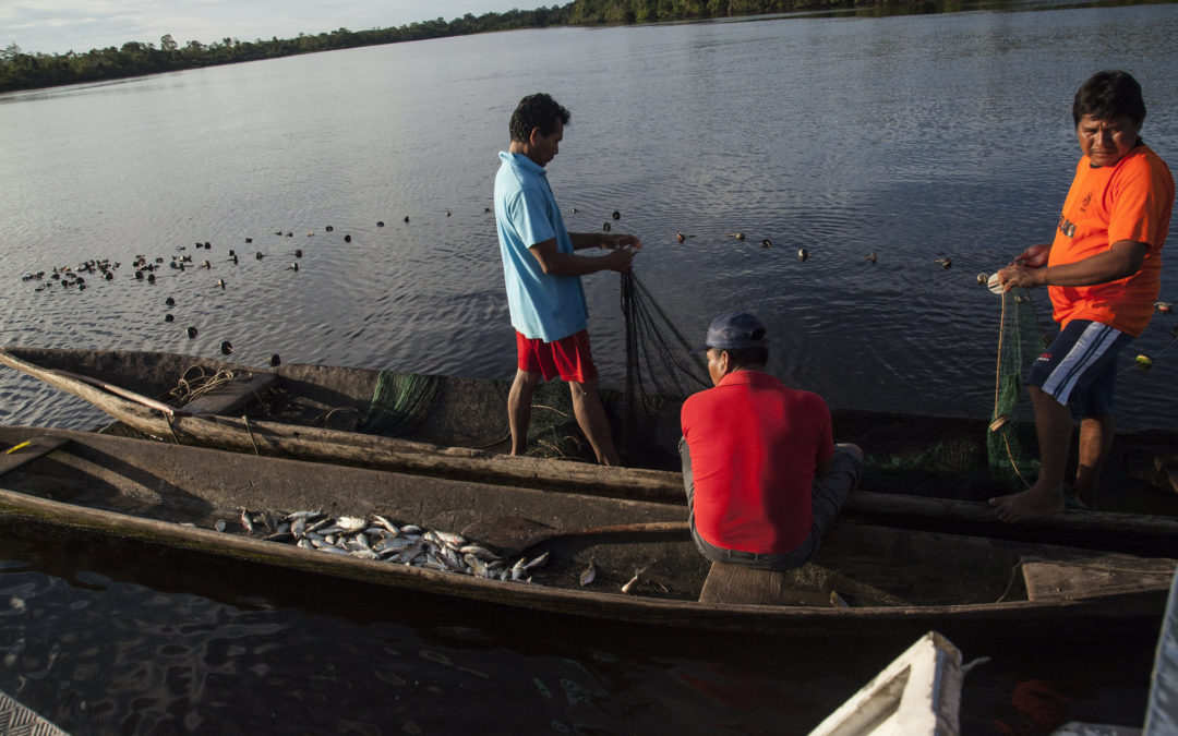 Proyecto de Ley impulsa incorporación de Perú a iniciativa para la transparencia en el sector pesquero