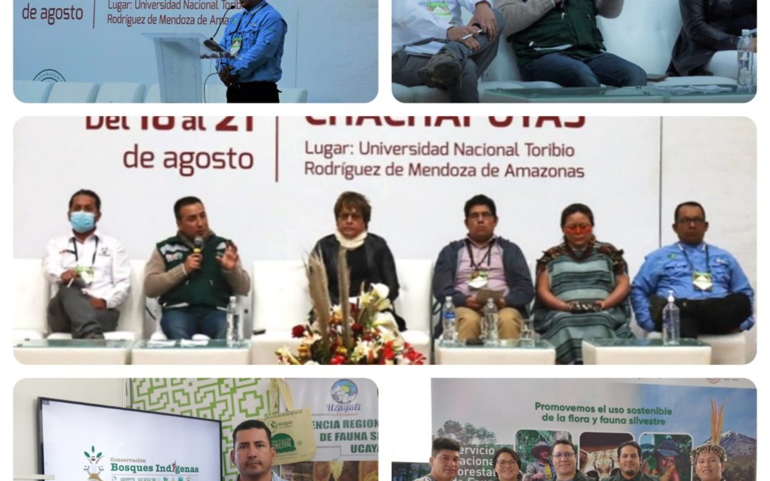 ExpoAmazónica 2022: Proyecto “Conservación de Bosques Indígenas” de Ucayali visibiliza resultados relacionados al manejo forestal comunitario