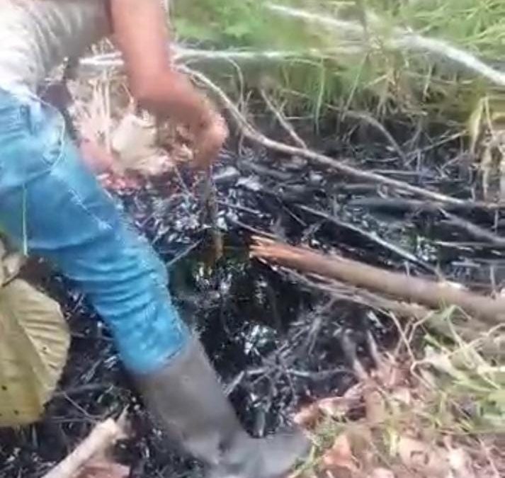 Pueblos indígenas en peligro: Defensores indígenas  denuncian un nuevo derrame petrolero en la Amazonía