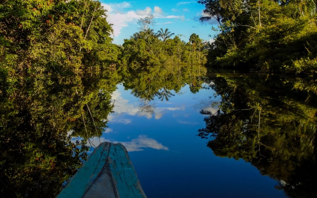 Financiamiento para la Diversidad Biológica de la Amazonía: Los beneficios deben ser locales