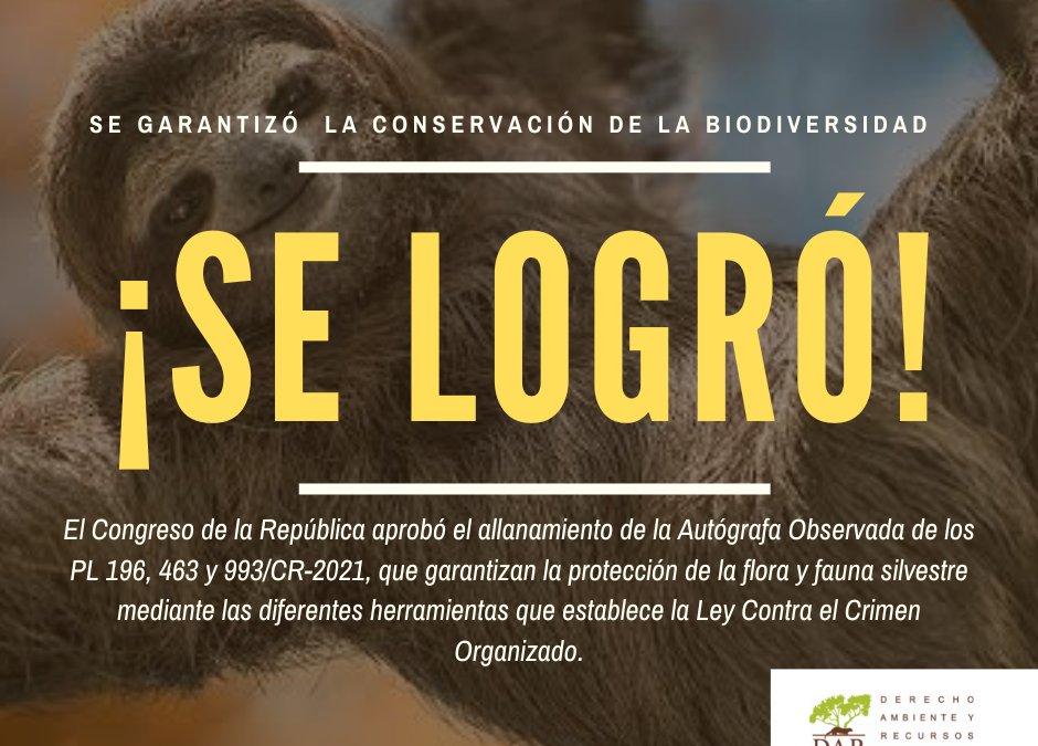 Perú lidera en Sudamérica la lucha contra el tráfico de vida silvestre al tener nuevas herramientas de investigación 