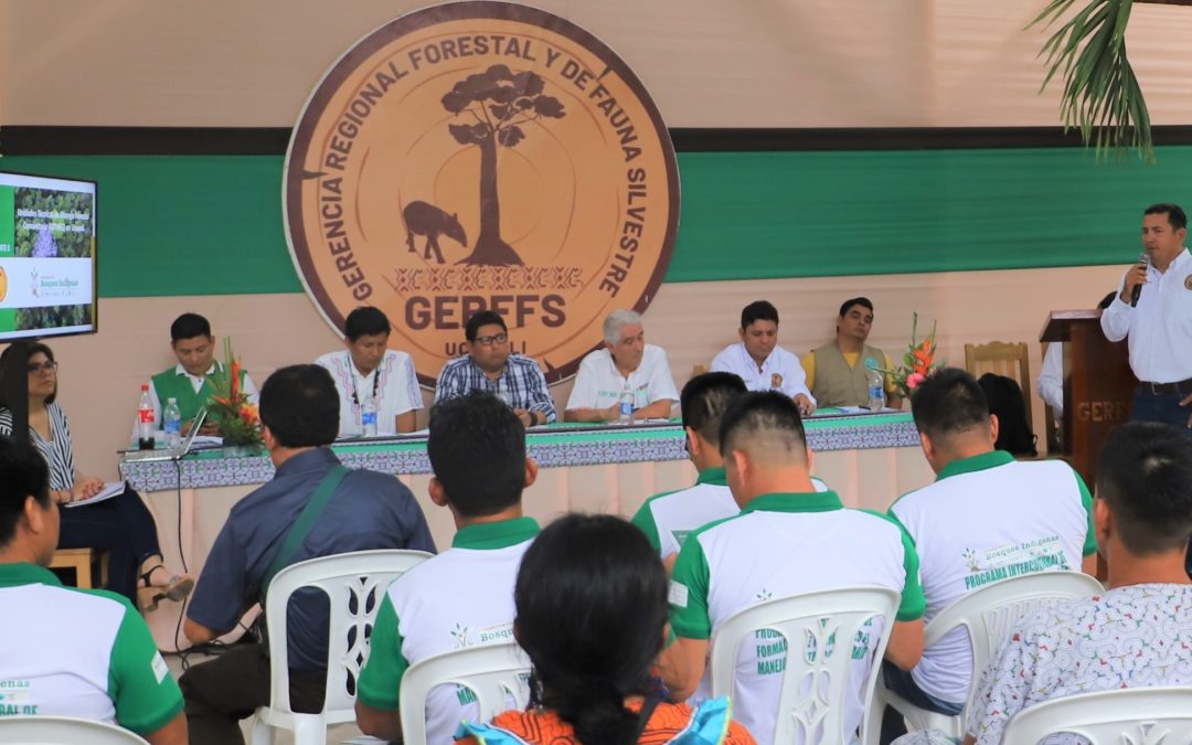 Semana Forestal: Instituciones públicas, organizaciones indígenas y sociedad civil presentan resultados para la conservación de los bosques en Ucayali