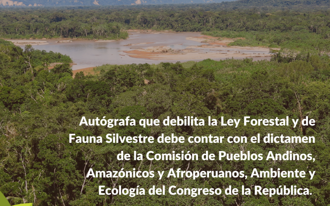 Autógrafa que debilita la Ley Forestal y de Fauna Silvestre debe contar con el dictamen de la Comisión de Pueblos Andinos, Amazónicos y Afroperuanos, Ambiente y Ecología del Congreso de la República
