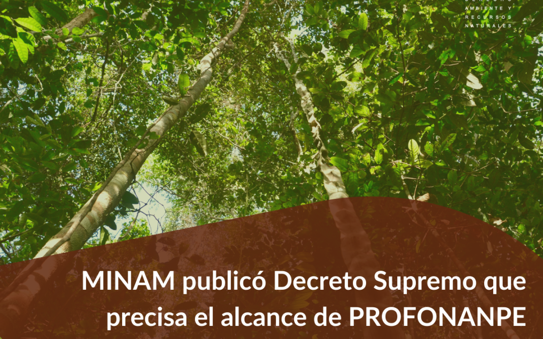 MINAM publicó Decreto Supremo que precisa el alcance de PROFONANPE en la administración de fondos REDD+