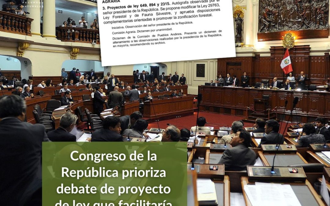 Congreso de la República prioriza debate de proyecto de ley que facilitaría la deforestación