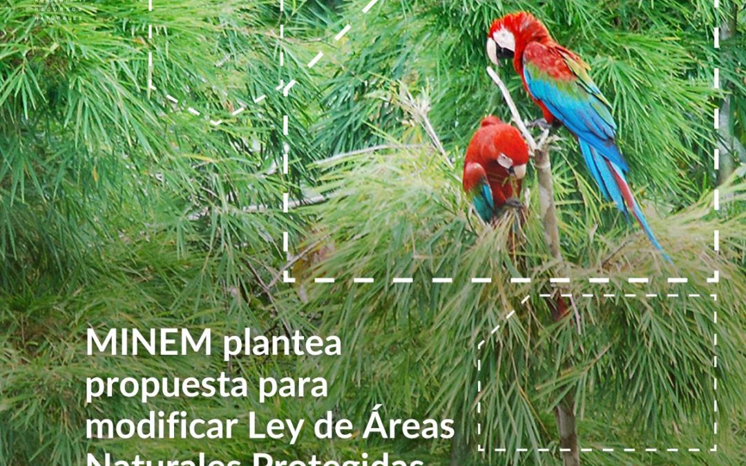 Ministerio de Energía y Minas plantea propuesta para modificar Ley de Áreas Naturales Protegidas