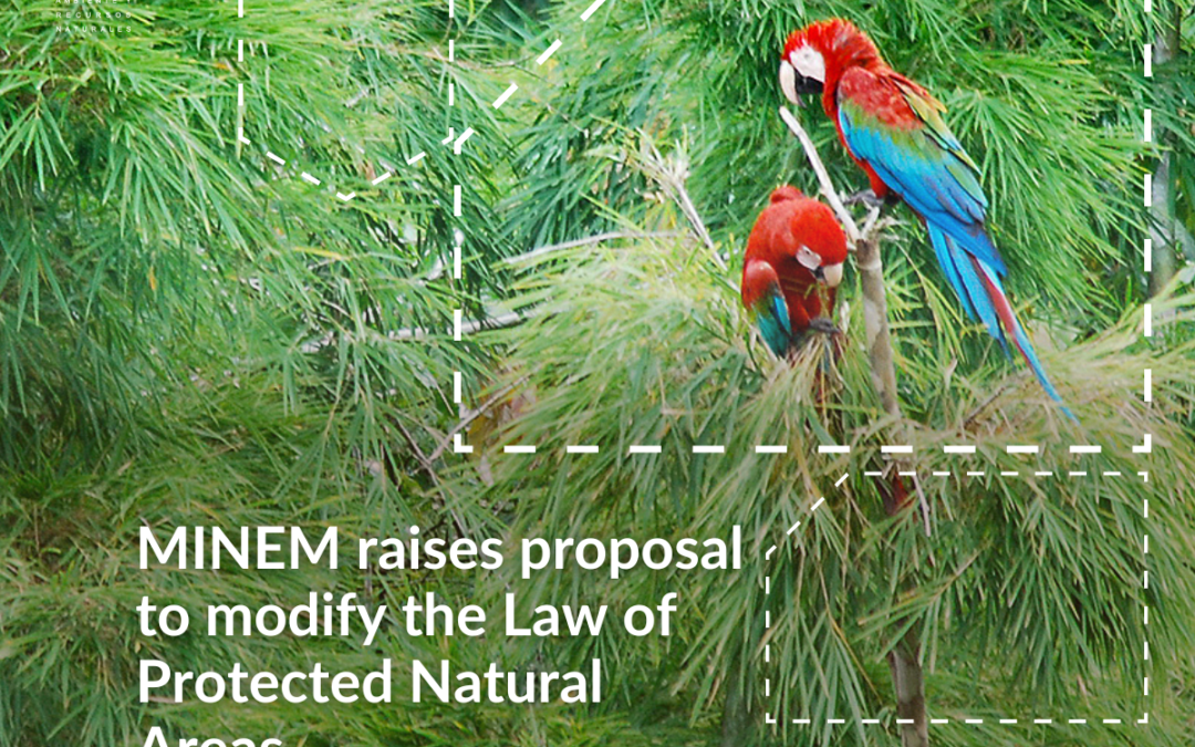 Ministry of Energy and Mines presents a proposal to modify the Law of Protected Natural Areas