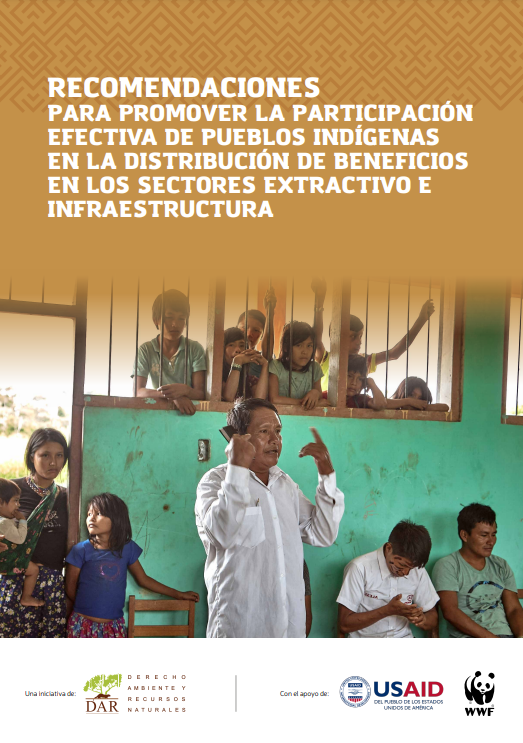 Recomendaciones para promover la participación efectiva de pueblos indígenas