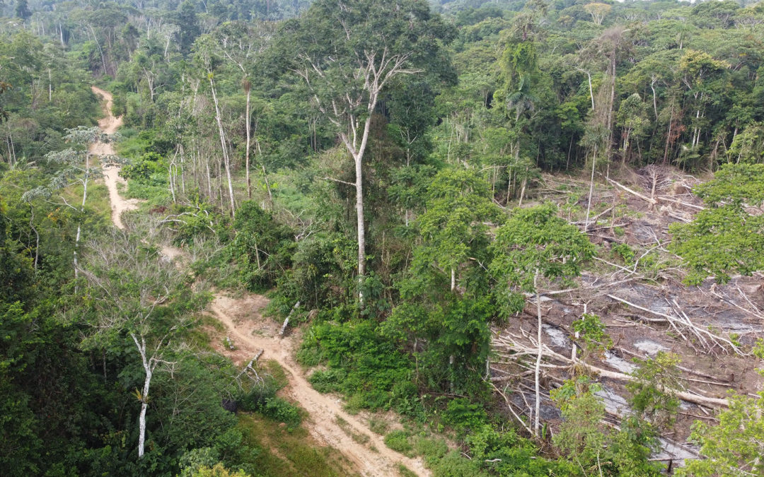 La urgencia de lograr la sostenibilidad de la conectividad vial amazónica en un contexto de crisis climática mundial