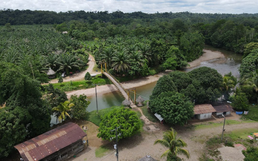 Promoción de hidrocarburos a costa de la Amazonía, los pueblos indígenas y la lucha contra el cambio climático