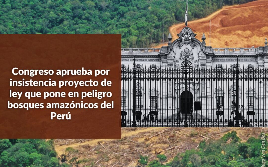 Congreso aprueba por insistencia proyecto de ley que pone en peligro  bosques amazónicos del Perú